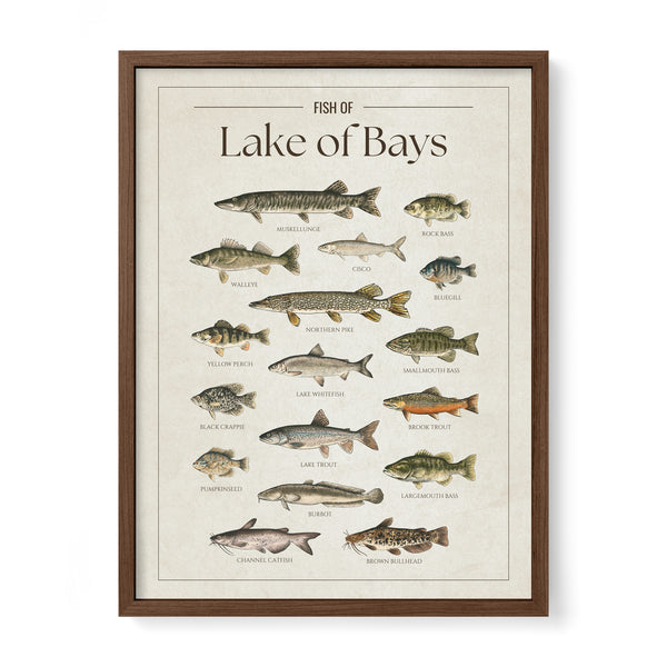 Lake of Bays Print