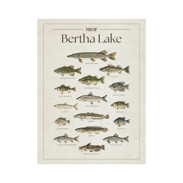 Bertha Lake Print