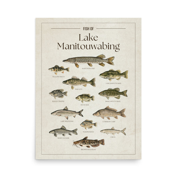 Lake Manitouwabing Print