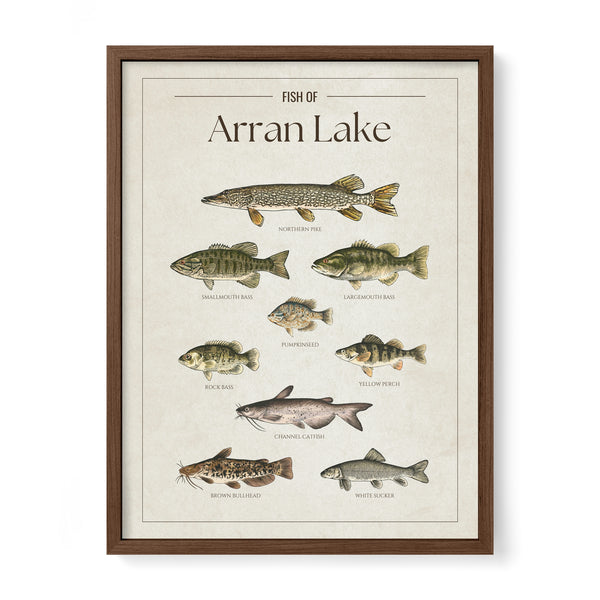 Arran Lake Print