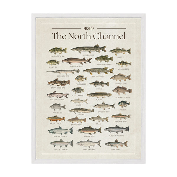 North Channel Print