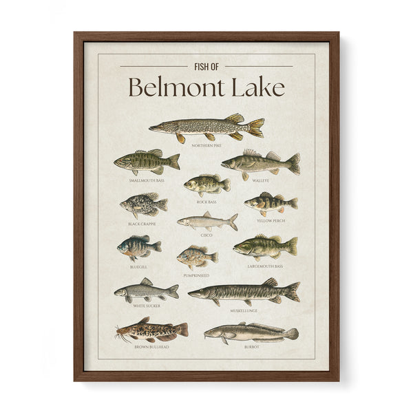 Belmont Lake Print