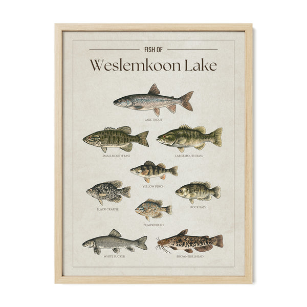 Weslemkoon Lake Print