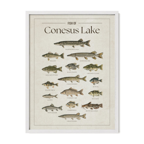 Conesus Lake Print