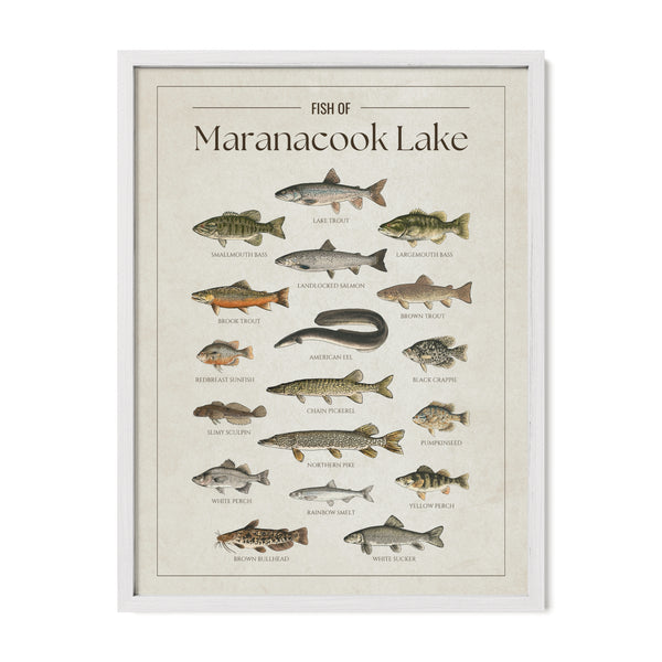 Maranacook Lake Print