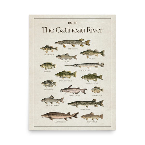 The Gatineau River Print