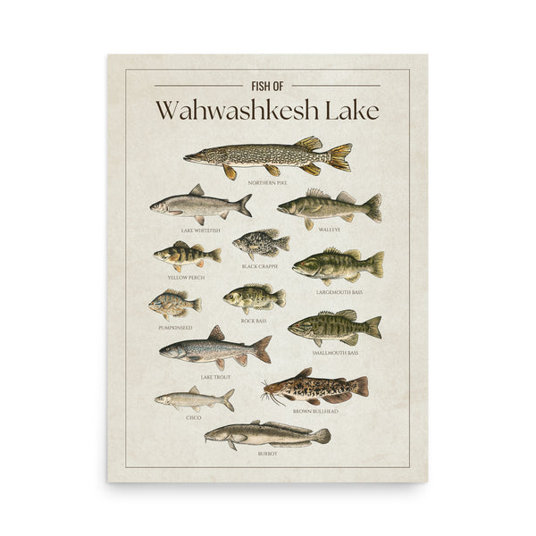 Wahwashkesh Lake Print