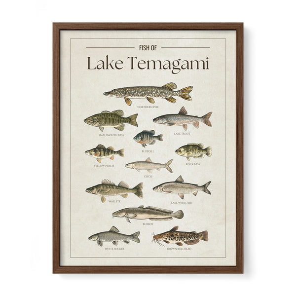 Lake Temagami Print