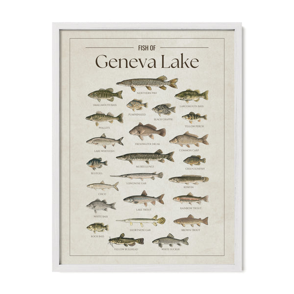 Geneva Lake Print
