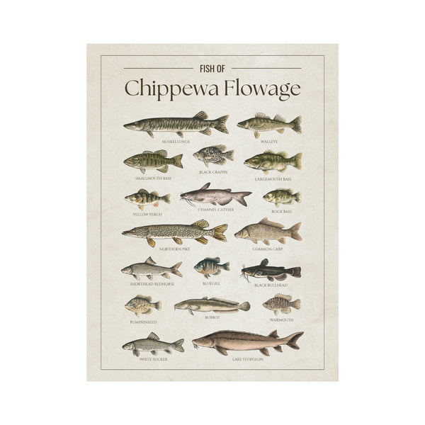 Chippewa Flowage Print