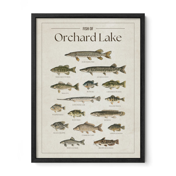 Orchard Lake Print