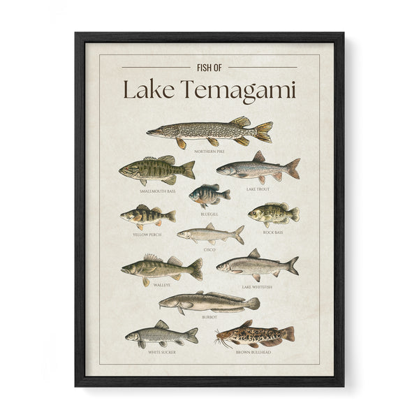 Lake Temagami Print
