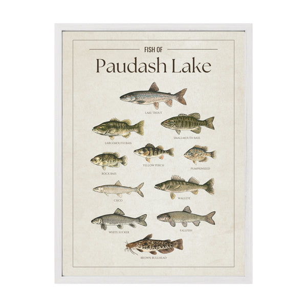 Paudash Lake Print