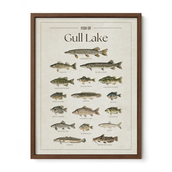 Gull Lake (Minnesota) Print