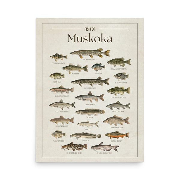 Muskoka Print