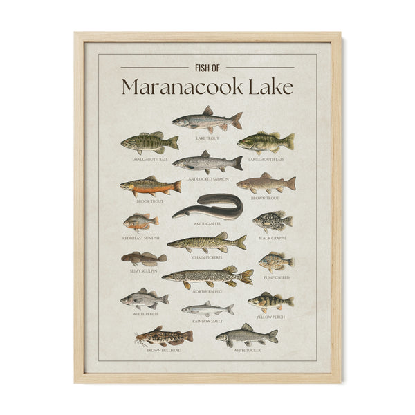 Maranacook Lake Print
