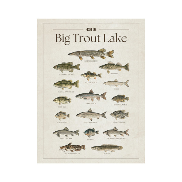 Big Trout Lake Print