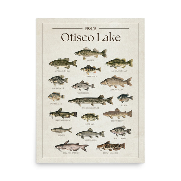 Otisco Lake Print