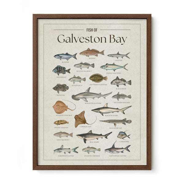 Galveston Bay Print