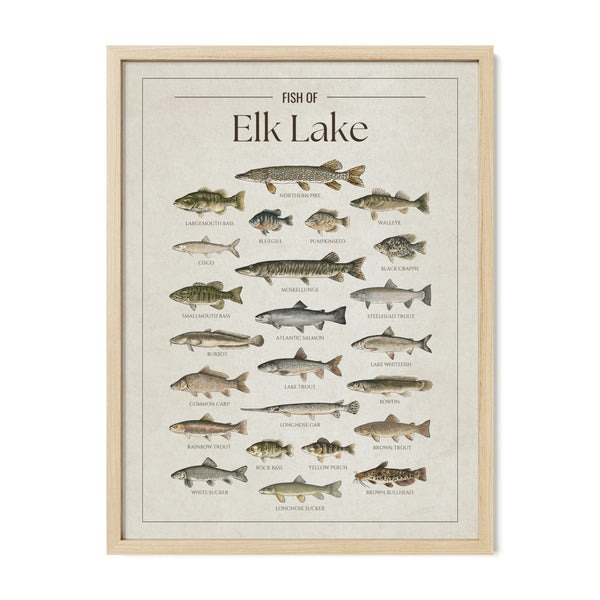 Elk Lake Print