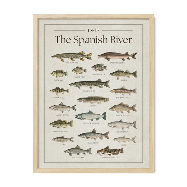 Spanish River Print