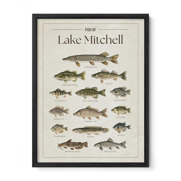 Lake Mitchell Print