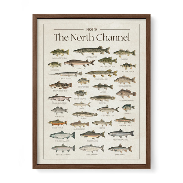 North Channel Print