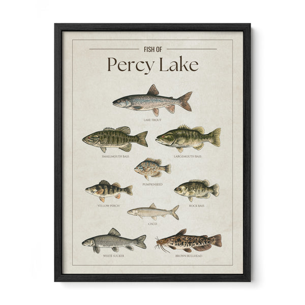 Percy Lake Print