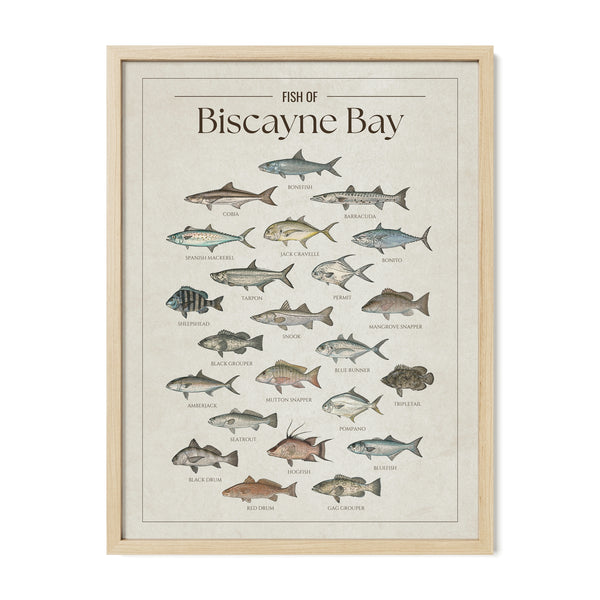 Biscayne Bay Print
