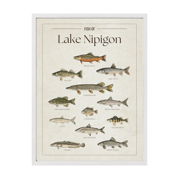 Lake Nipigon Print