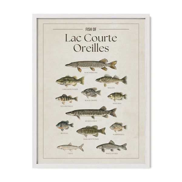 Lac Courte Oreilles Print