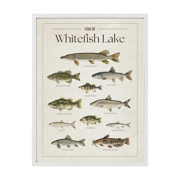 Whitefish Lake Print