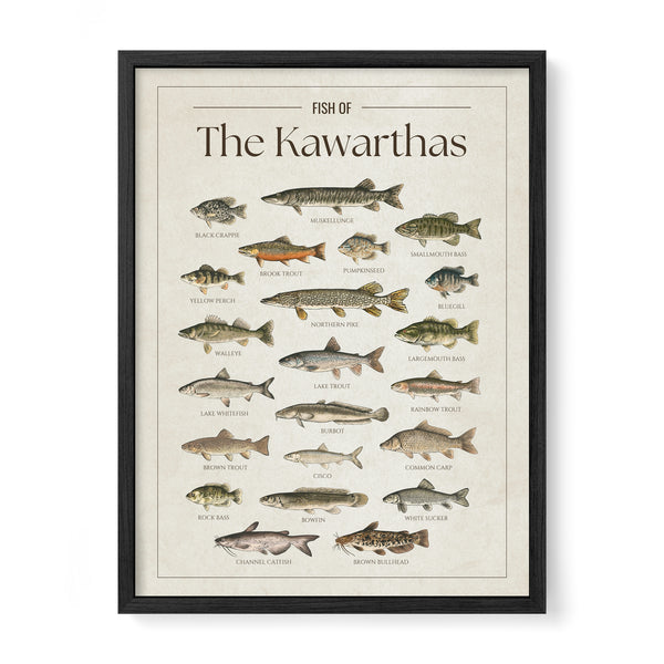 Kawarthas Print