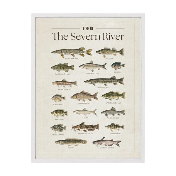 Severn River Print