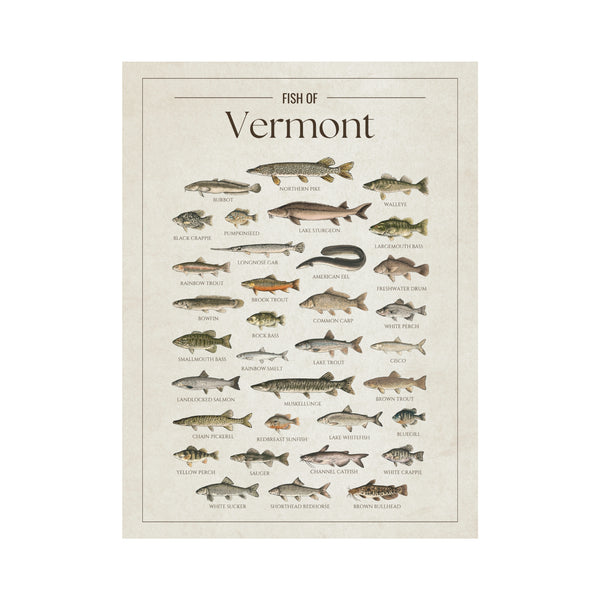 Vermont Print