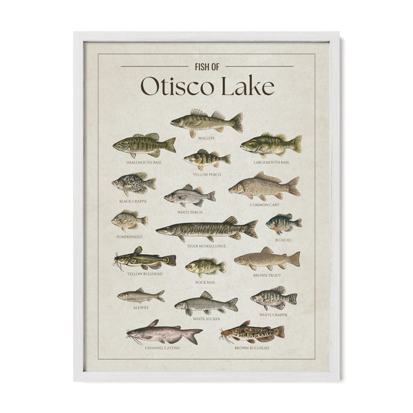 Otisco Lake Print