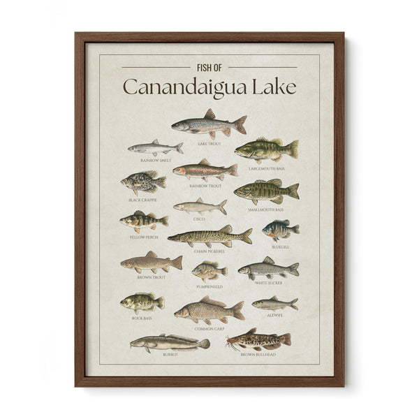 Canandaigua Lake Print