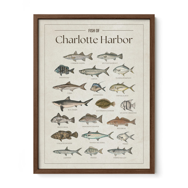 Charlotte Harbor Print