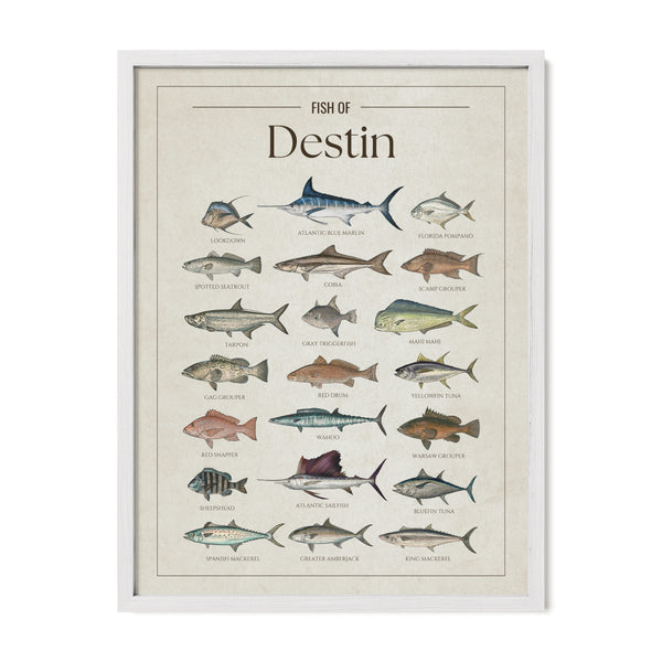 Destin Print