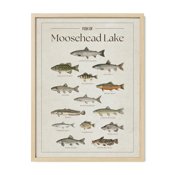 Moosehead Lake Print
