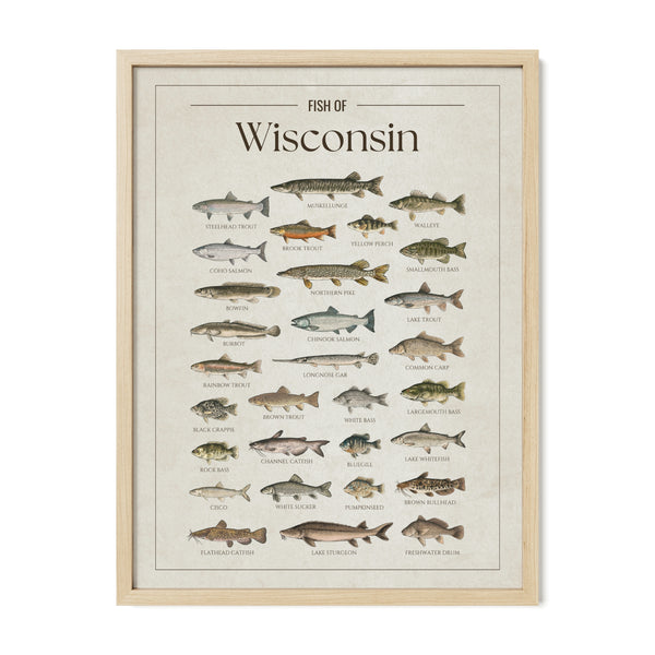 Wisconsin Print