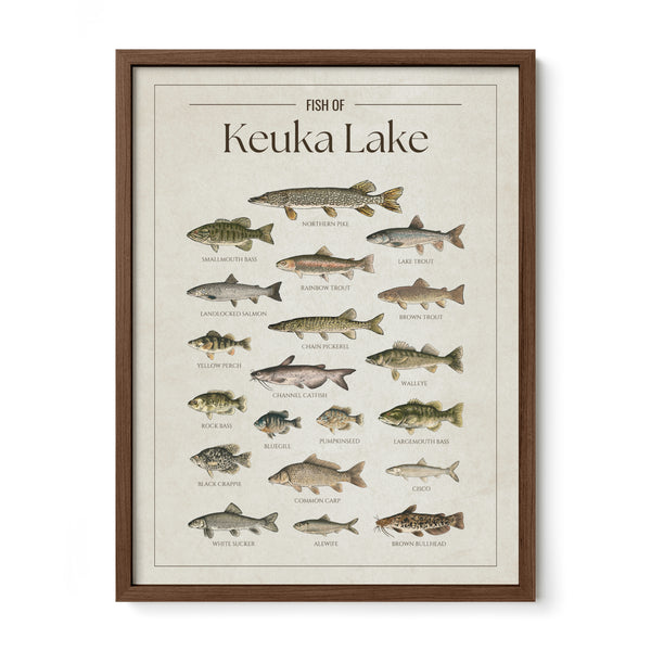 Keuka Lake Print