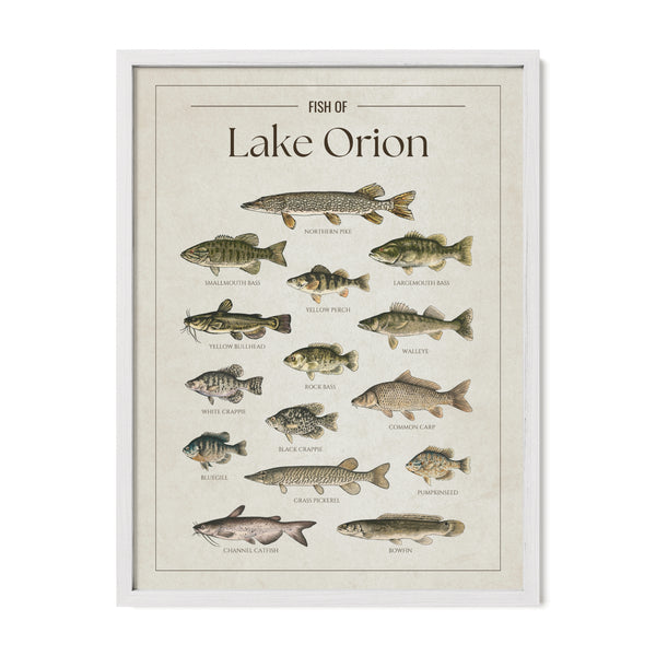 Lake Orion Print