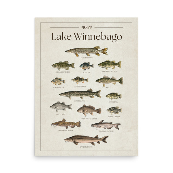Lake Winnebago Print
