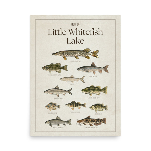 Little Whitefish Lake Print