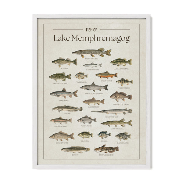 Lake Memphremagog Print
