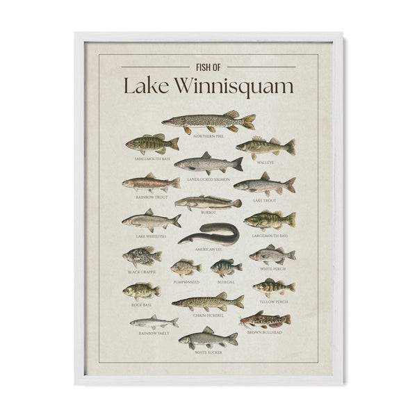 Lake Winnisquam Print