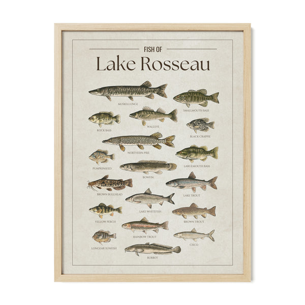 Lake Rosseau Print