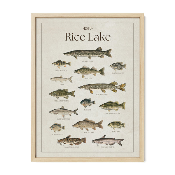 Rice Lake Print