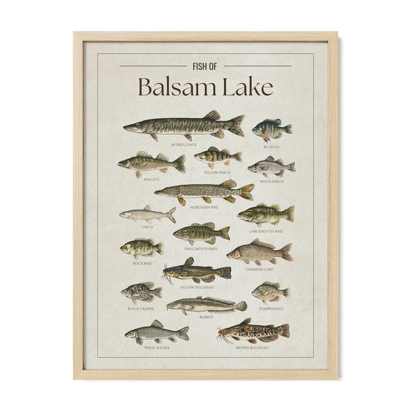 Balsam Lake Print